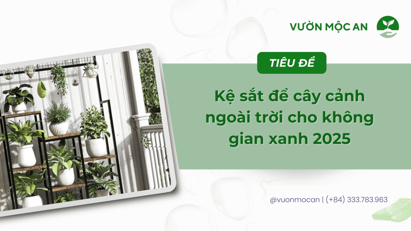 Kệ sắt để cây cảnh ngoài trời